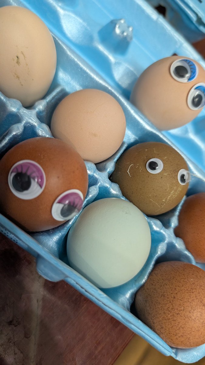 KrookedOrchid's tweet photo. Look at these cute eggs!!! #fyp #ohio #midwest #milf #amateur
Going to be doing a #cakesmashing video tomorrow #feet #ass #amateur https://t.co/DL07fVscVH