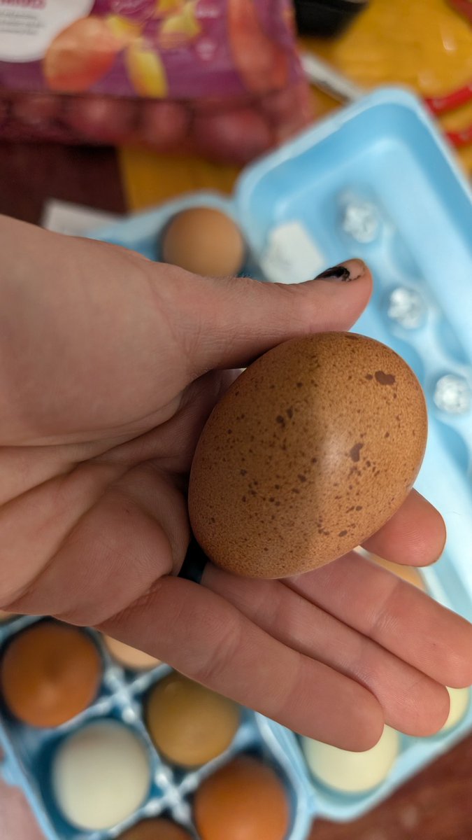 KrookedOrchid's tweet photo. Look at these cute eggs!!! #fyp #ohio #midwest #milf #amateur
Going to be doing a #cakesmashing video tomorrow #feet #ass #amateur https://t.co/DL07fVscVH