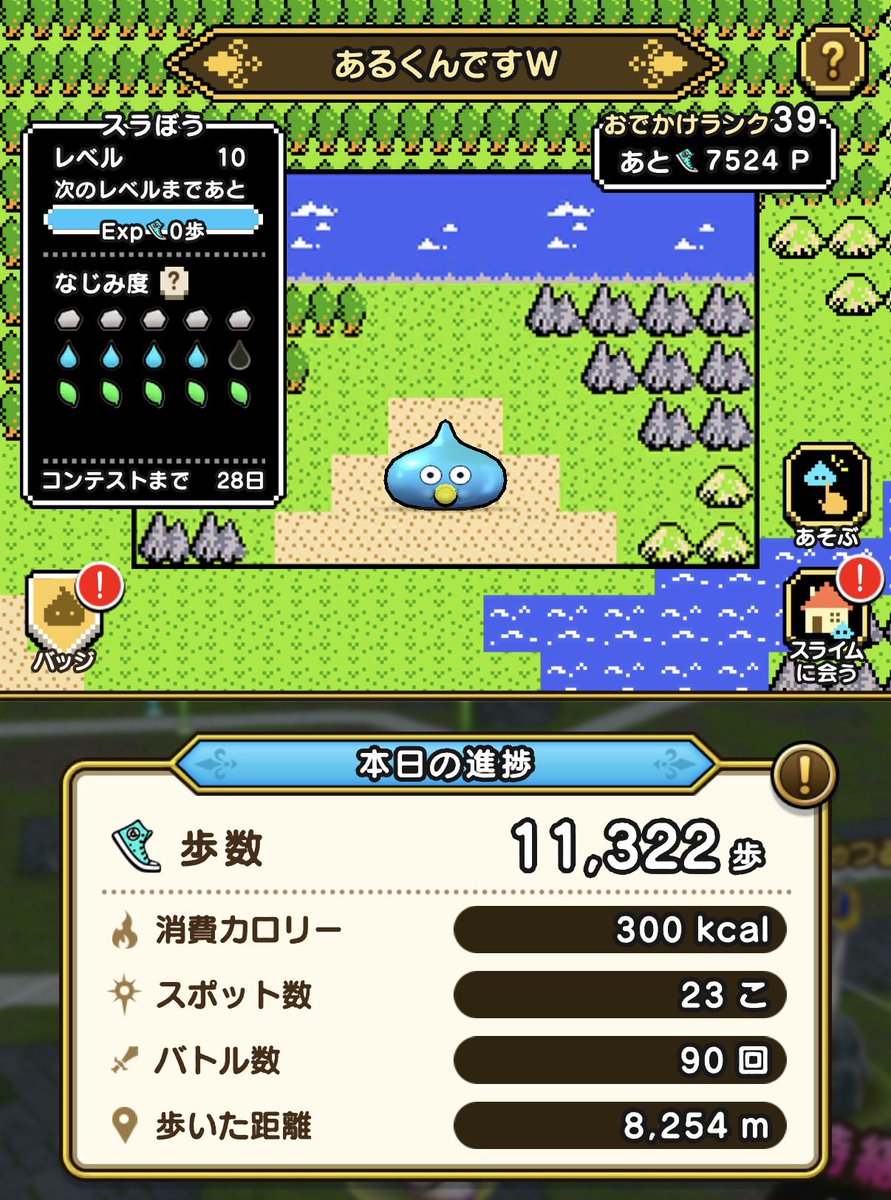 せんちゃん🐾 (@sen1043h) / Posts / X