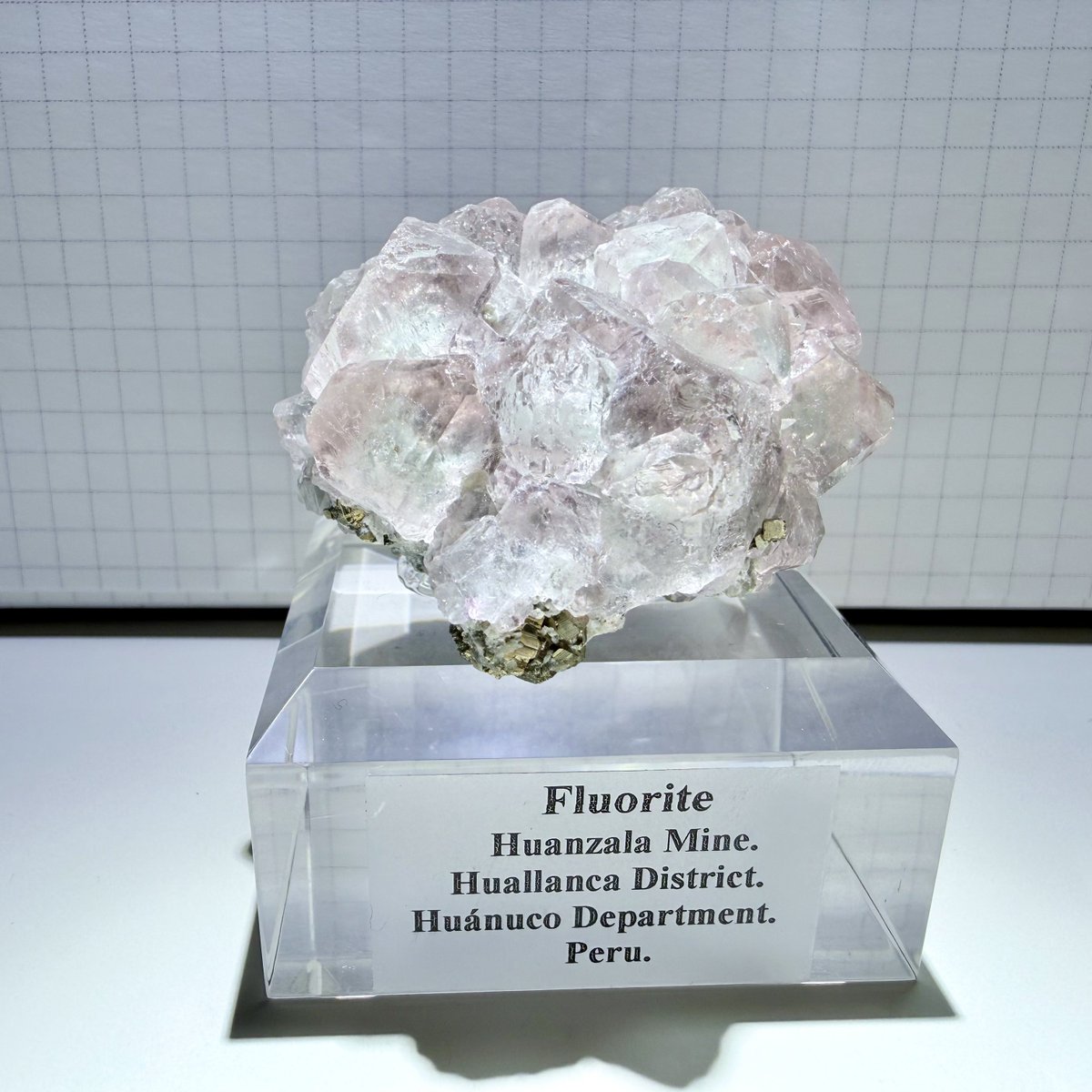 ミスターストーン (@mrstone_yoshida) / Posts / X