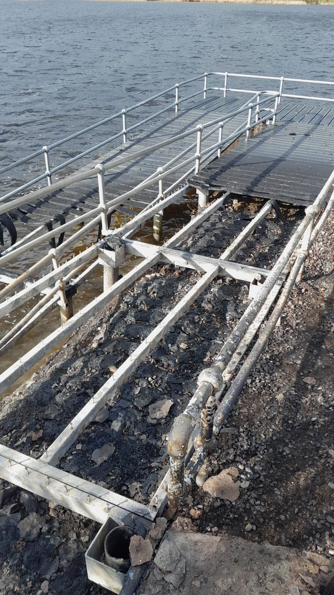 Inland Fisheries Ireland tweet media