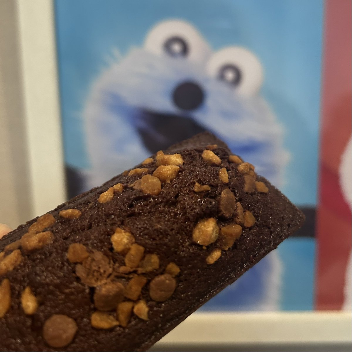 な、七歳のお誕生日おめでとうございますっ！ 巻き込んでしまって