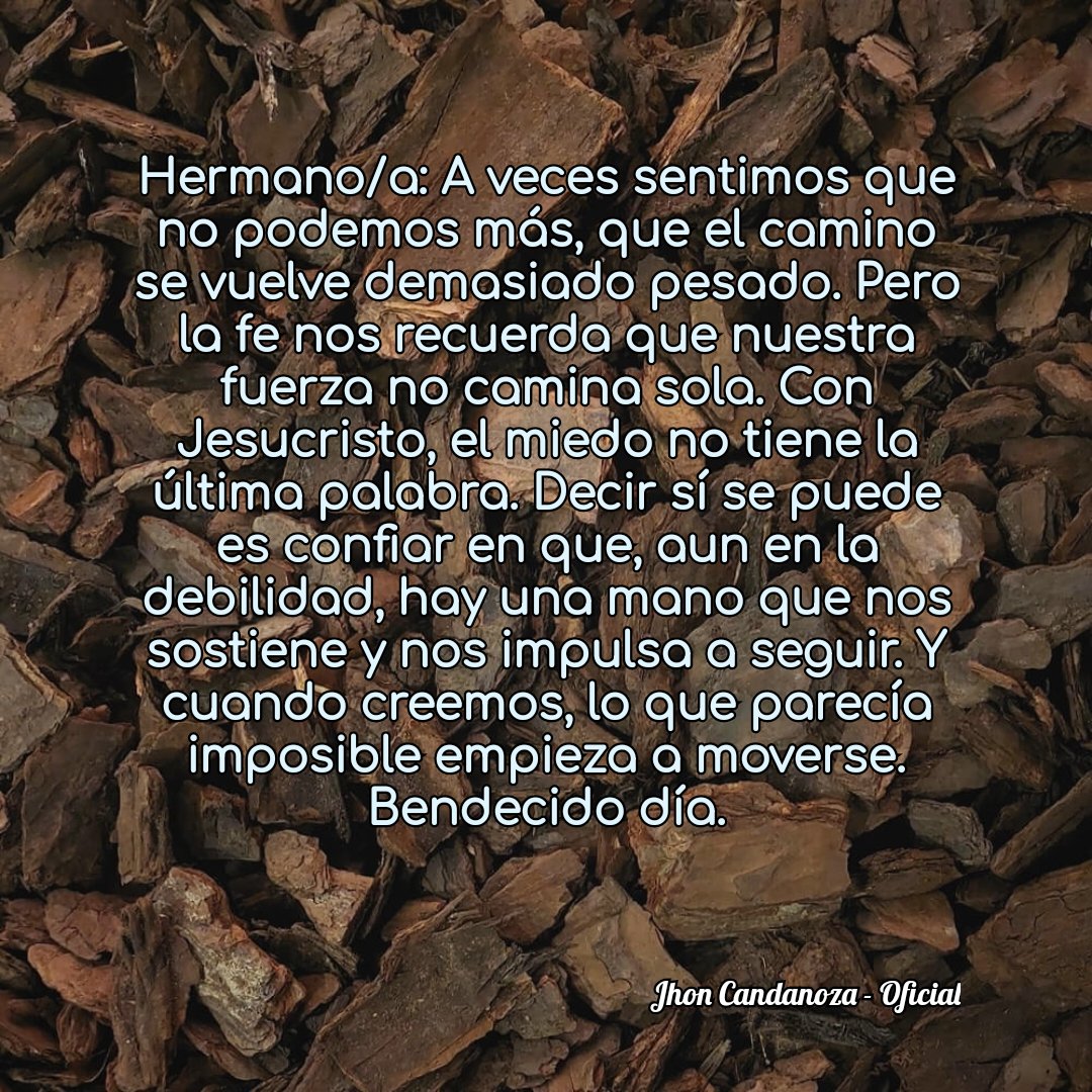 jc_candanoza's tweet photo. 🔥 HOY DIOS ACTIVA TU MILAGRO 🔥
Si lo crees, escribe AMÉN y compártelo con alguien que necesite esta palabra hoy.
#MilagroHoy #DiosEsFiel #Amén #FeActiva #Bendición #ComparteFe #PalabraProfetica #DiosObra https://t.co/S55Uys3xdX