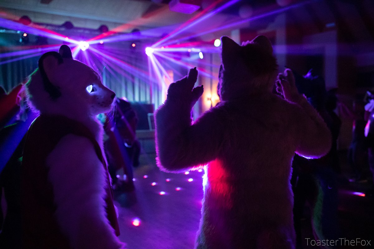 Freunde auf 2 Pfoten e. V. tweet media