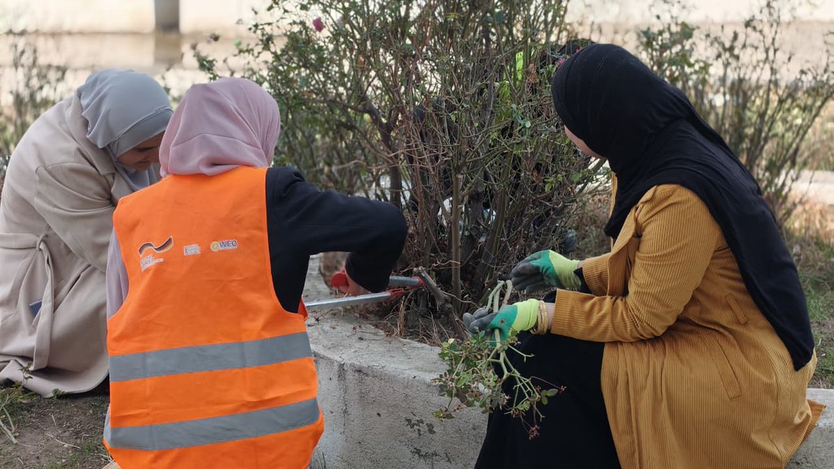 WEO-Iraq tweet media