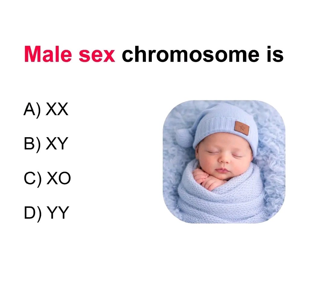 General Knowledge tweet media