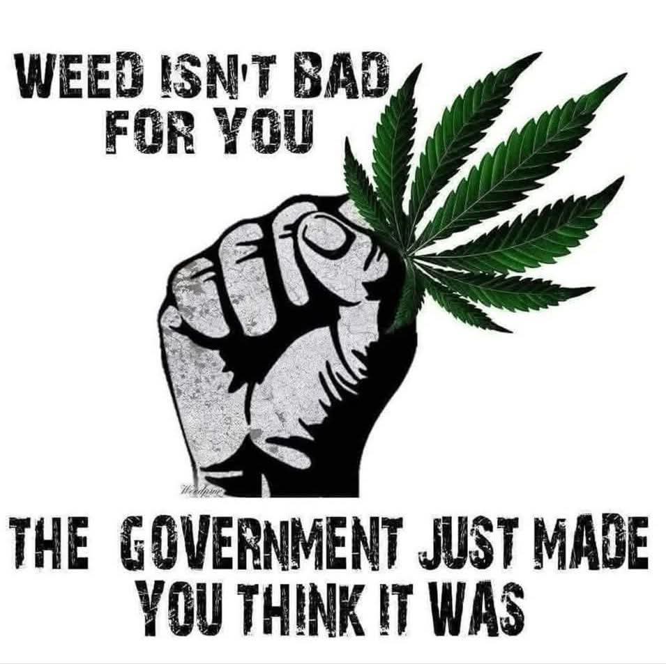 Canna World tweet media