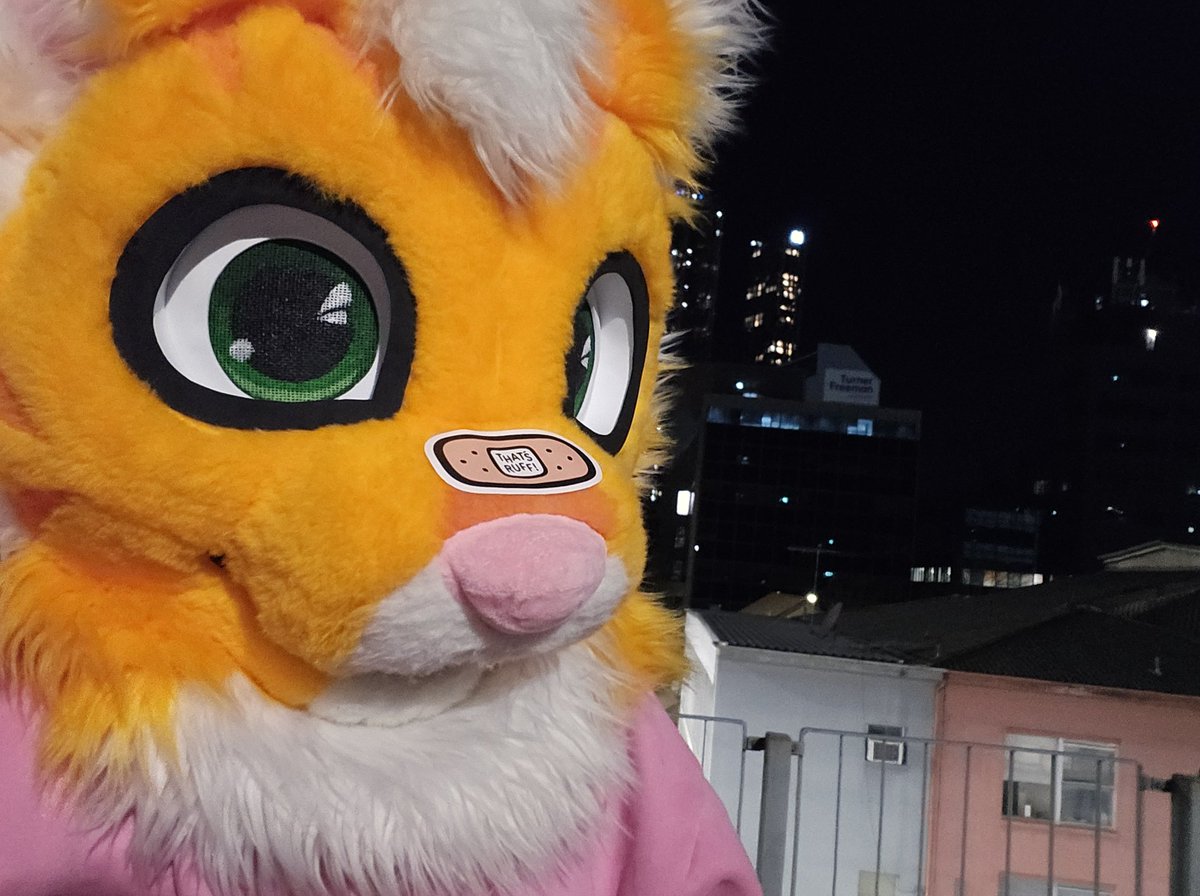 Mibble 🧡 tweet media