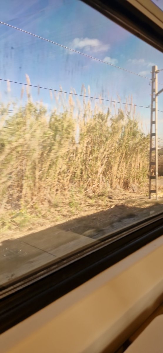 Josep Forasté ||*|| 🎗 tweet media