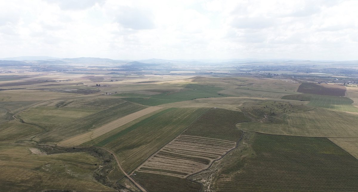 "In this country, tanks move slowly...Germans frequent­ly move into position so slowly that it becomes necessary to line their vehicles in on some terrain feature to distinguish that they are actually moving" 
Maj Gen Ward, US 1st Armored Division #TankTuesday #TunisianCampaign