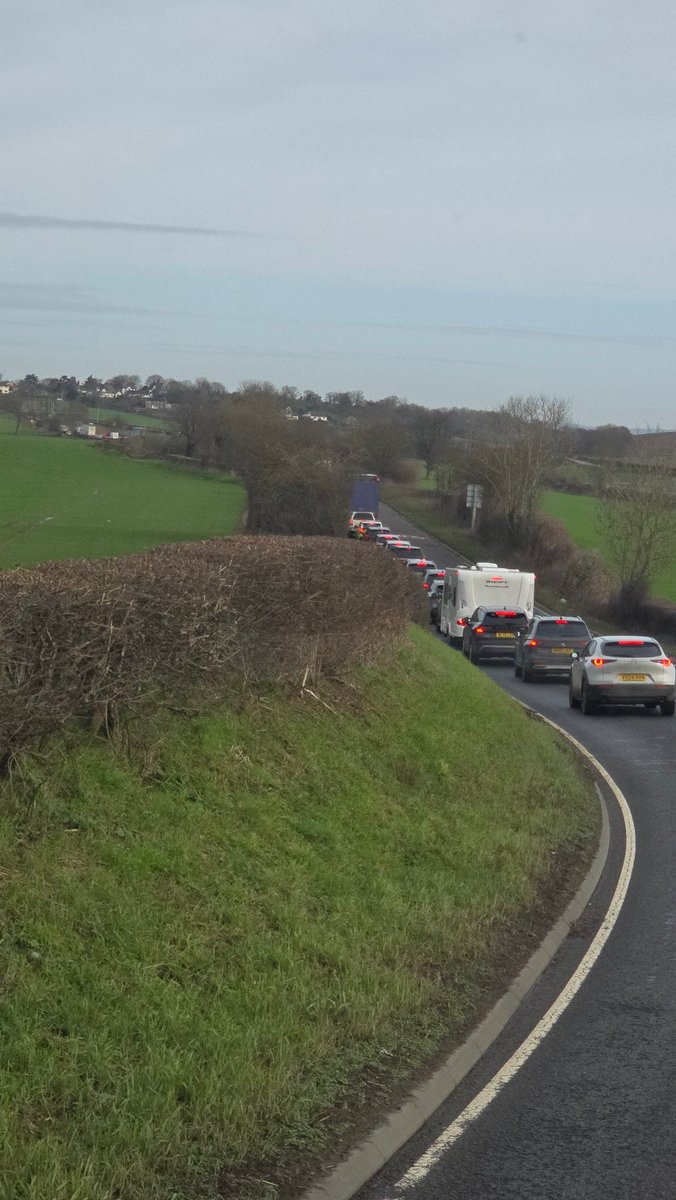 Tom Davies tweet media