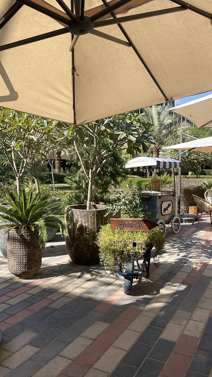 鹿花丽|شادن tweet media