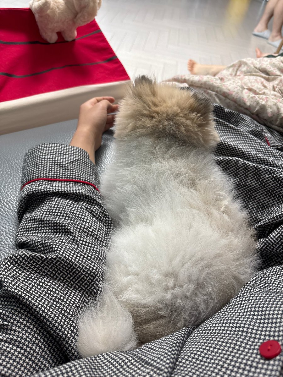 bebe_0922's tweet photo. 요한이 떡국 많이 머겅 두 번 머겅🫶🏻 https://t.co/nR7tMXUVQx