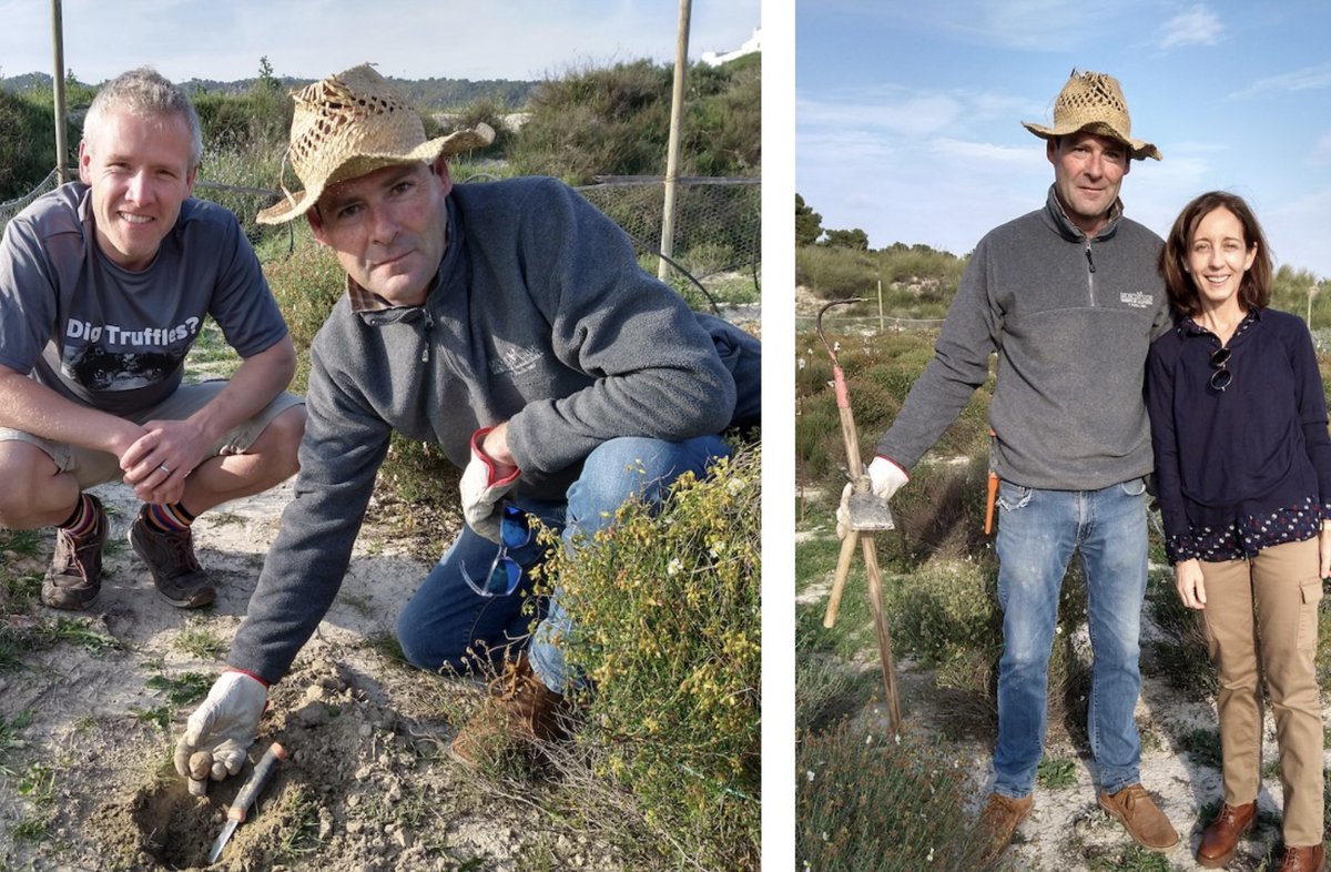 Prof Paul Thomas tweet media