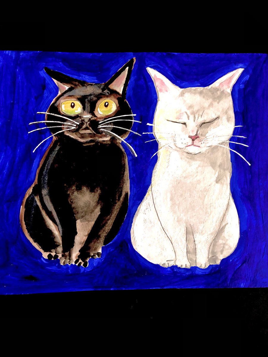 猫壱屋久右衛門 (@og9Z0HG7T7lLpNM) / Posts / X