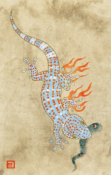 トッケイヤモリ