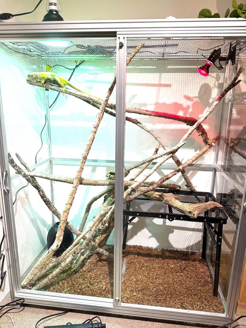 AnimalSHOPきなと・きなとのケージ屋さんおかげさまで10周年