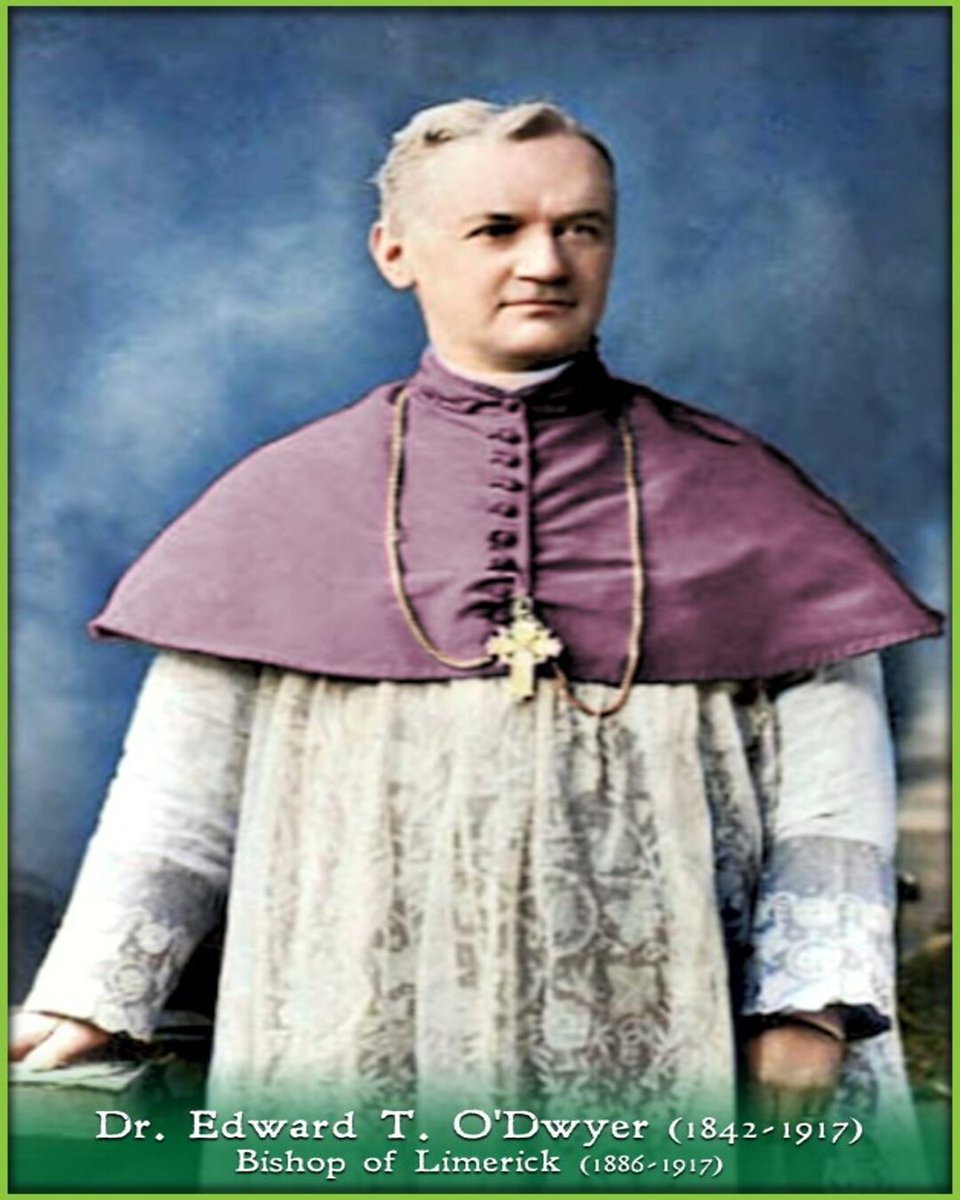 Limerick Museum tweet media