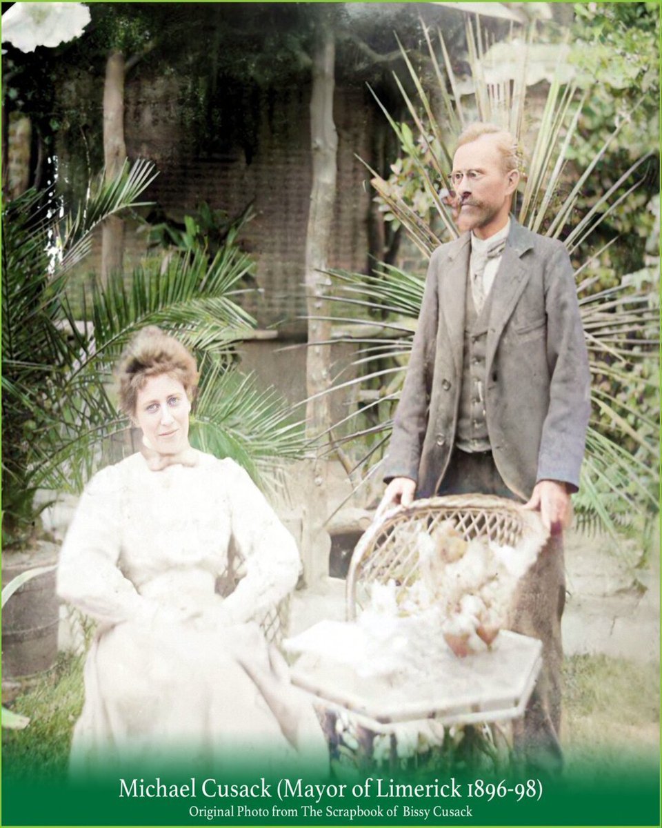 Limerick Museum tweet media