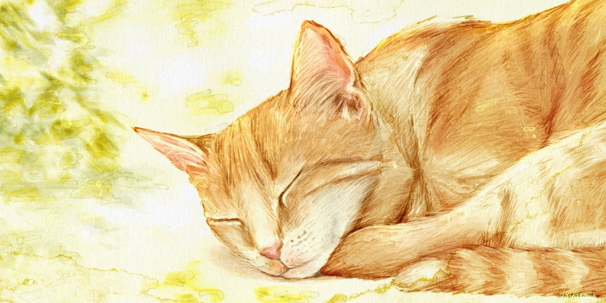 artistnawmi's tweet image. heaven-sent; a miracle ⋆˚˖𓍢ִ໋`