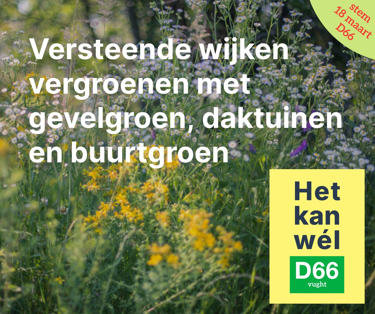 Nog 29 dagen tot de gemeenteraadsverkiezingen. 

In de 66 dagen tot 18 maart delen we elke dag een punt uit ons verkiezingsprogramma. 

Vandaag nummer 38.