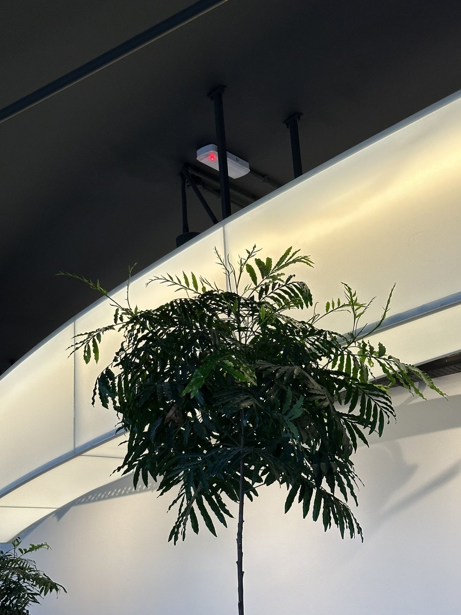 Iwanqais tweet media