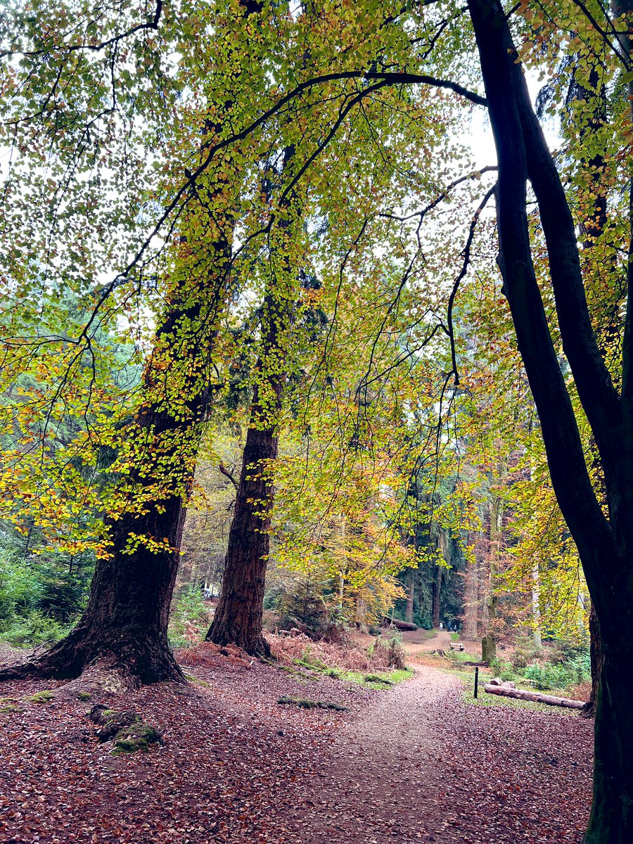 bir08967383's tweet image. It’s Trail Tuesday

QP or post a picture you took of a trail or path you enjoy!

#Trail