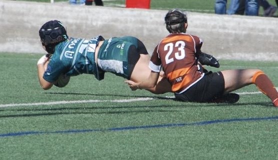 🟢El 23,5% de los jugadores analizados declara utilizar aceite de oliva virgen extra cada día, considerándolo una fuente de grasa saludable, según recoge el consultor estratégico Juan Vilar👇
asajajaen.com/consuma-produc…