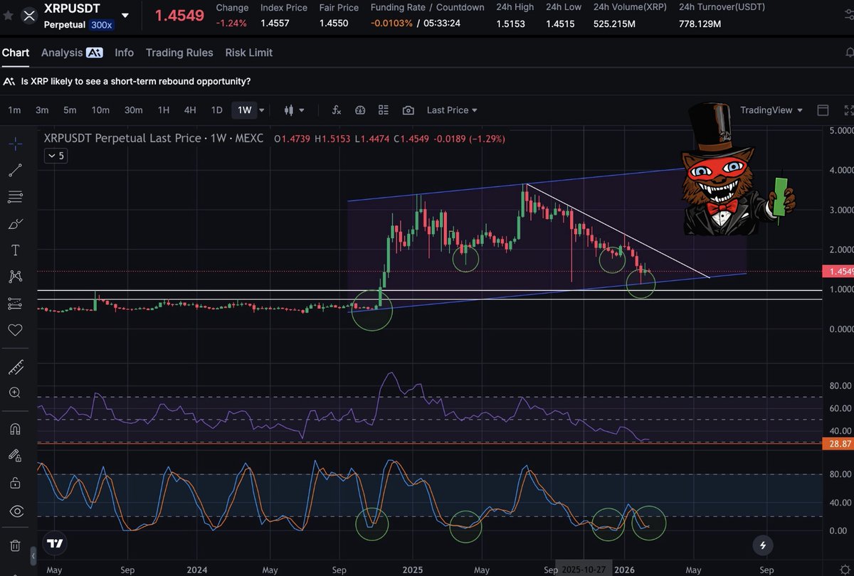 Archie 👑 tweet media