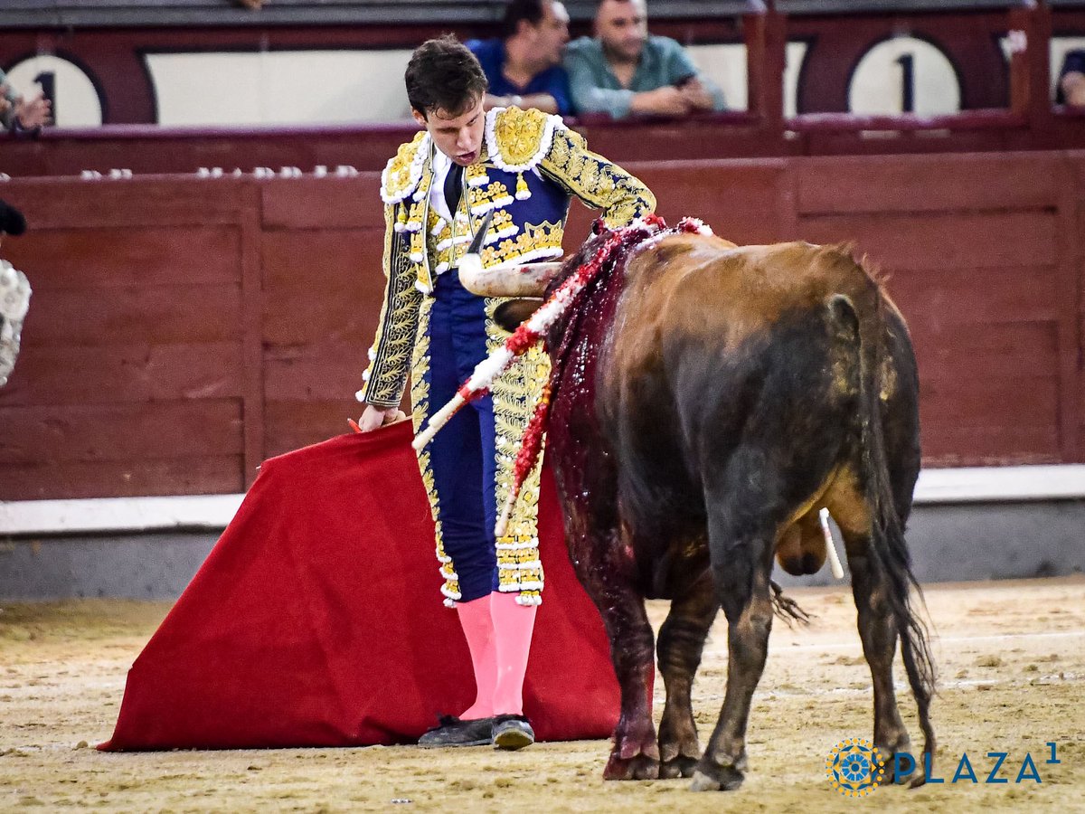 Tercio de Quites tweet media