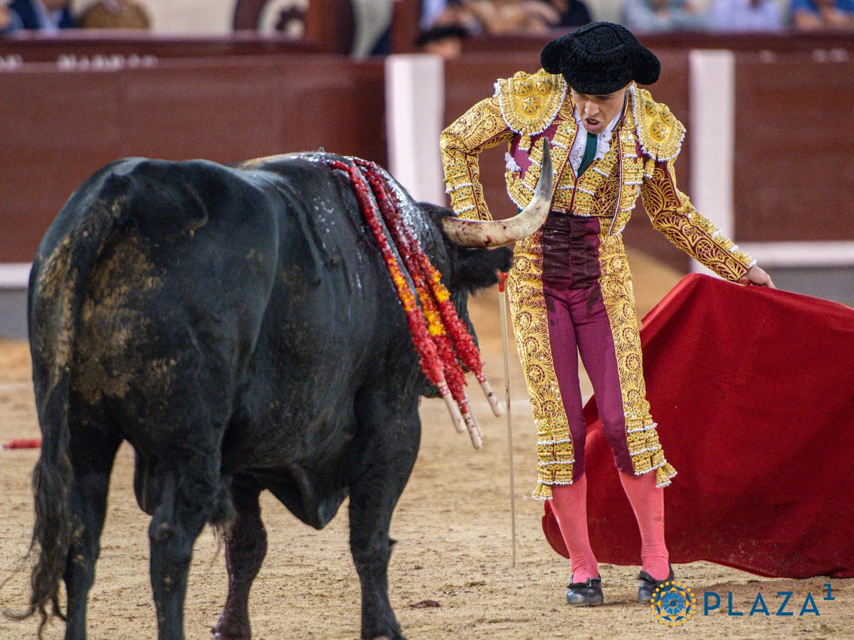 Tercio de Quites tweet media