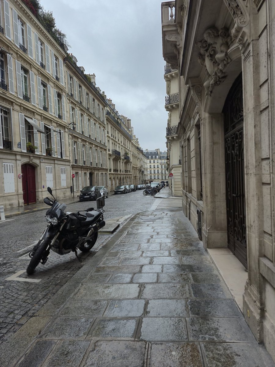 LyttleOne tweet media