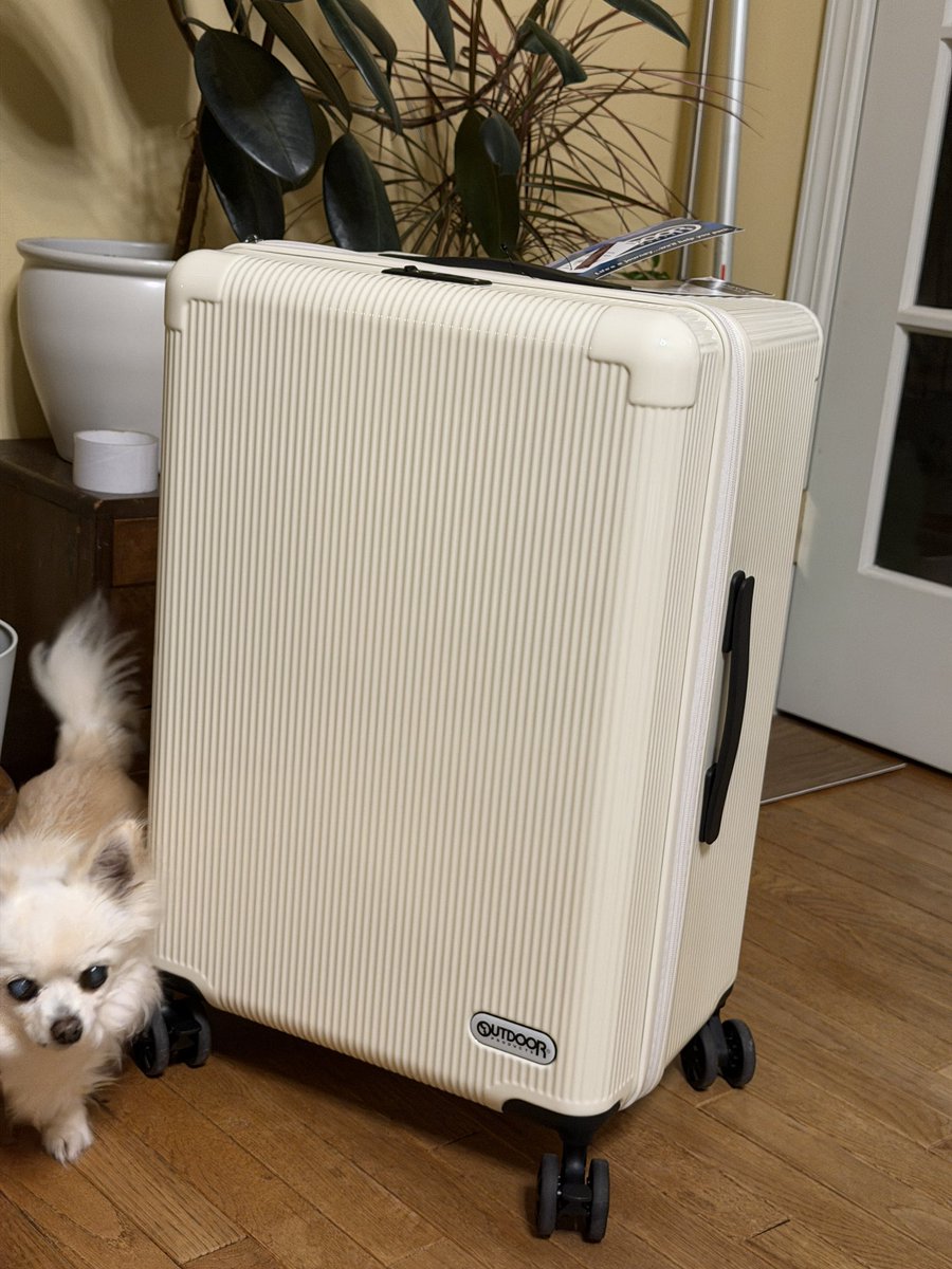 𝐦𝐢𝐨 ✈︎ 🇺🇸tampa (@ARMYmioBTS) / Posts / X