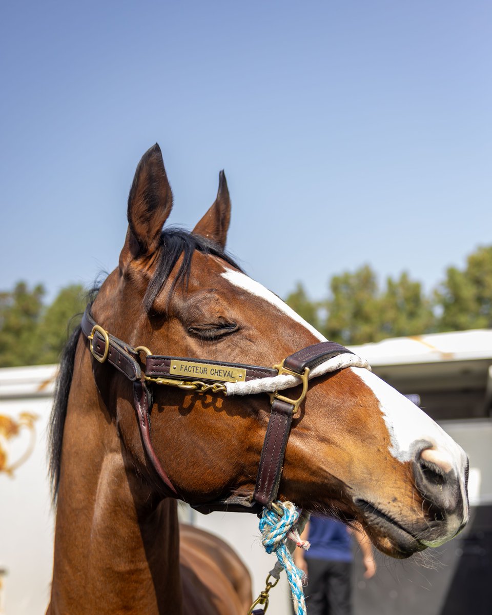 Dubai Racing Club tweet media