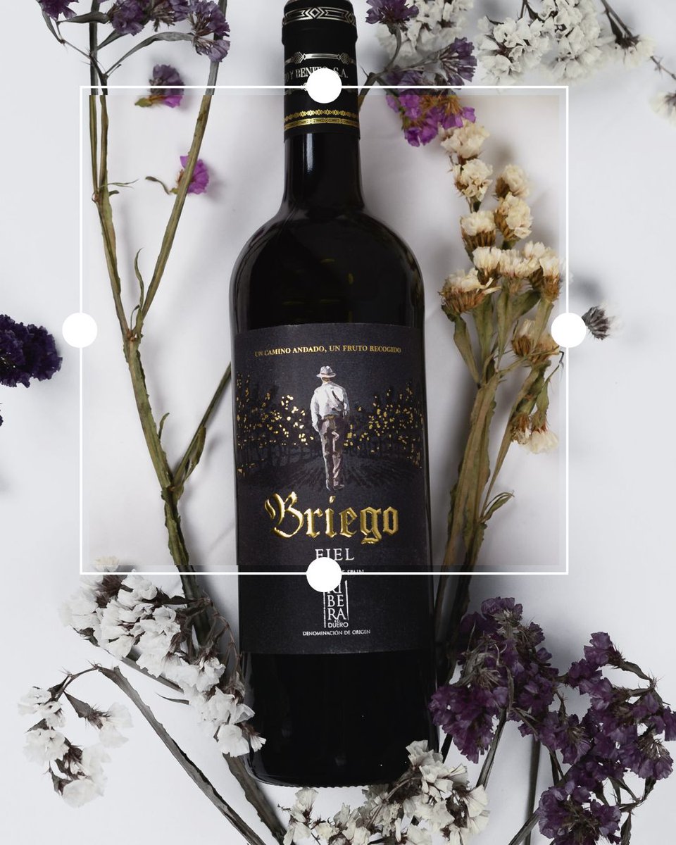 BodegasBriego tweet media