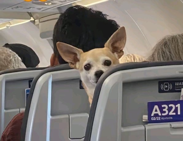 When you sit at a different seat from someone paying for your tfare😂💔