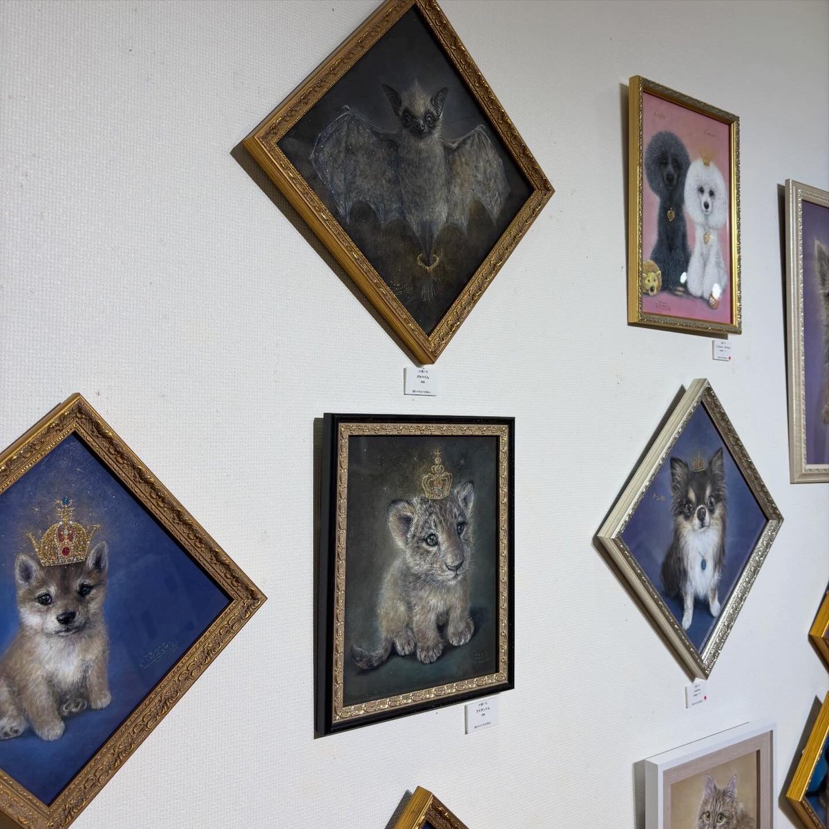 ゾムデッド / ZOMDEAD tweet media