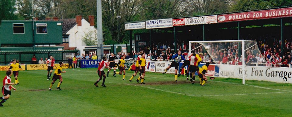 The Cardinal Tales tweet media