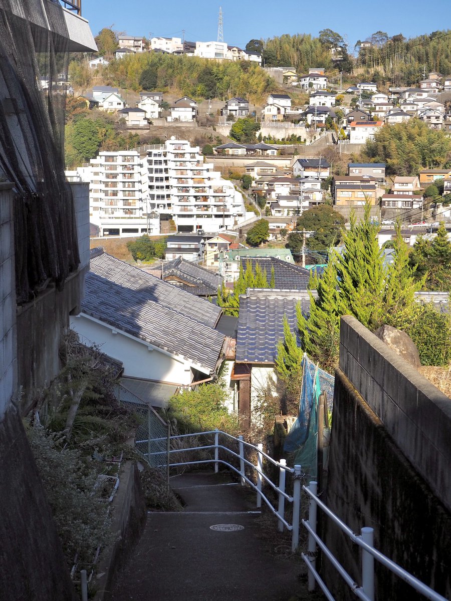 かめ (@kame__0877) / Posts / X