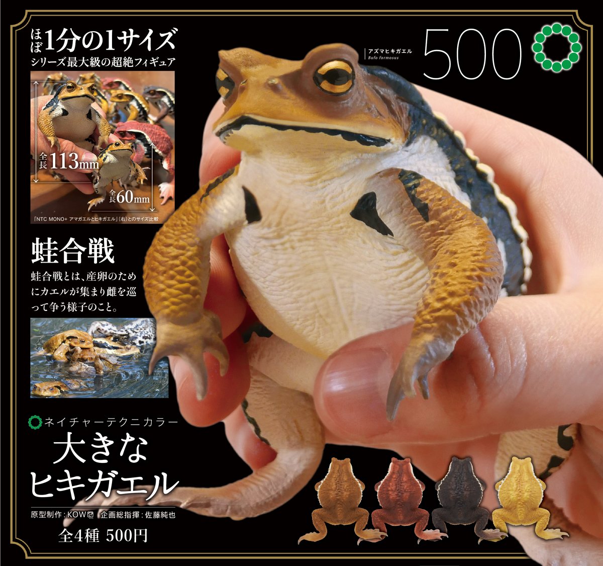 きゃー！可愛い！！