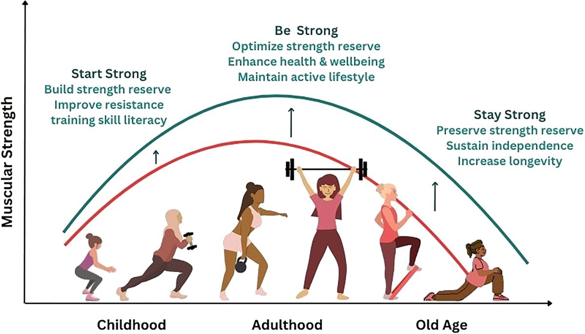 Physio Explored tweet media