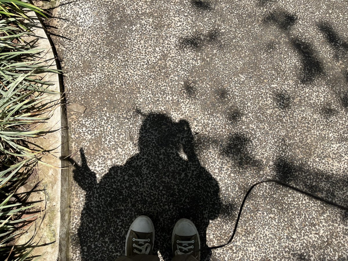 Xanthophyll__'s tweet photo. Aku masih hidup dan terus berjalan https://t.co/EVnN16o2Ud