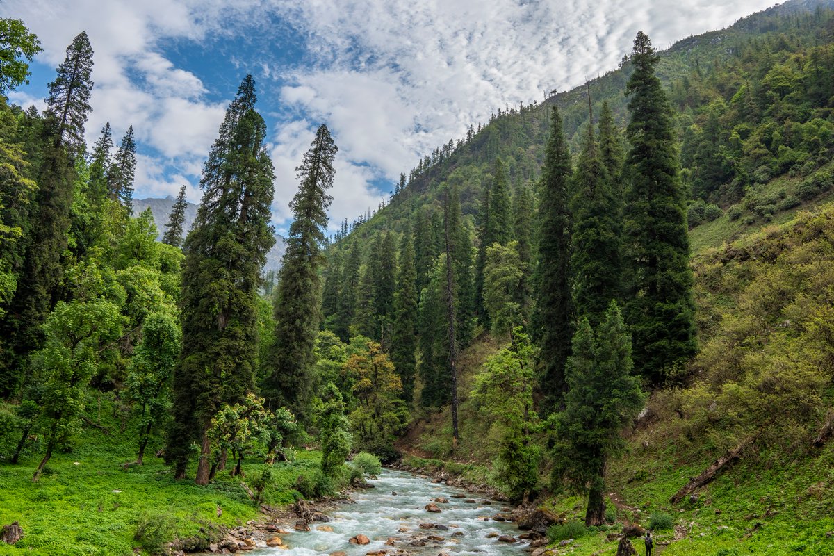 Nepal Tourism Board tweet media