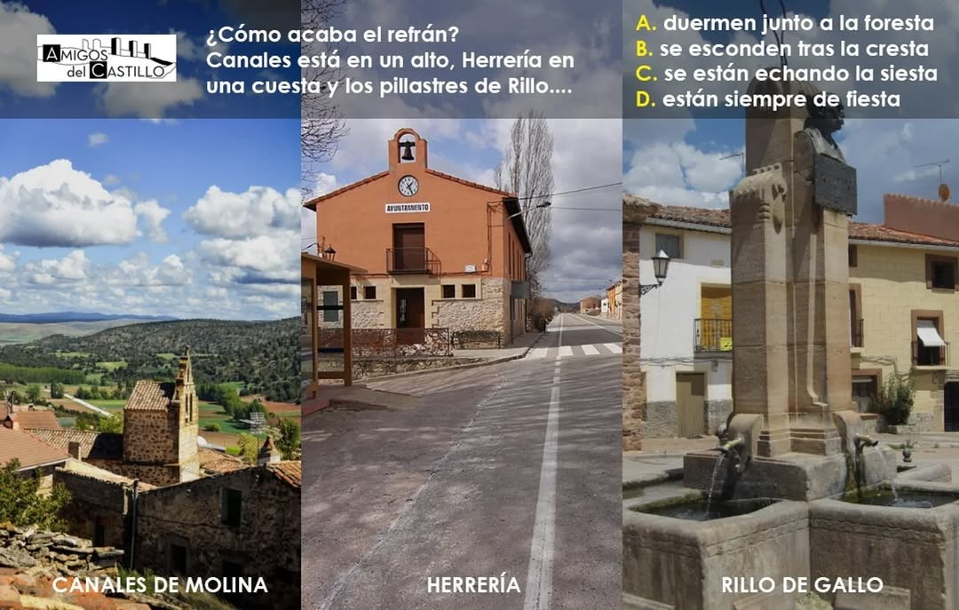 RILLO de GALLO tweet media