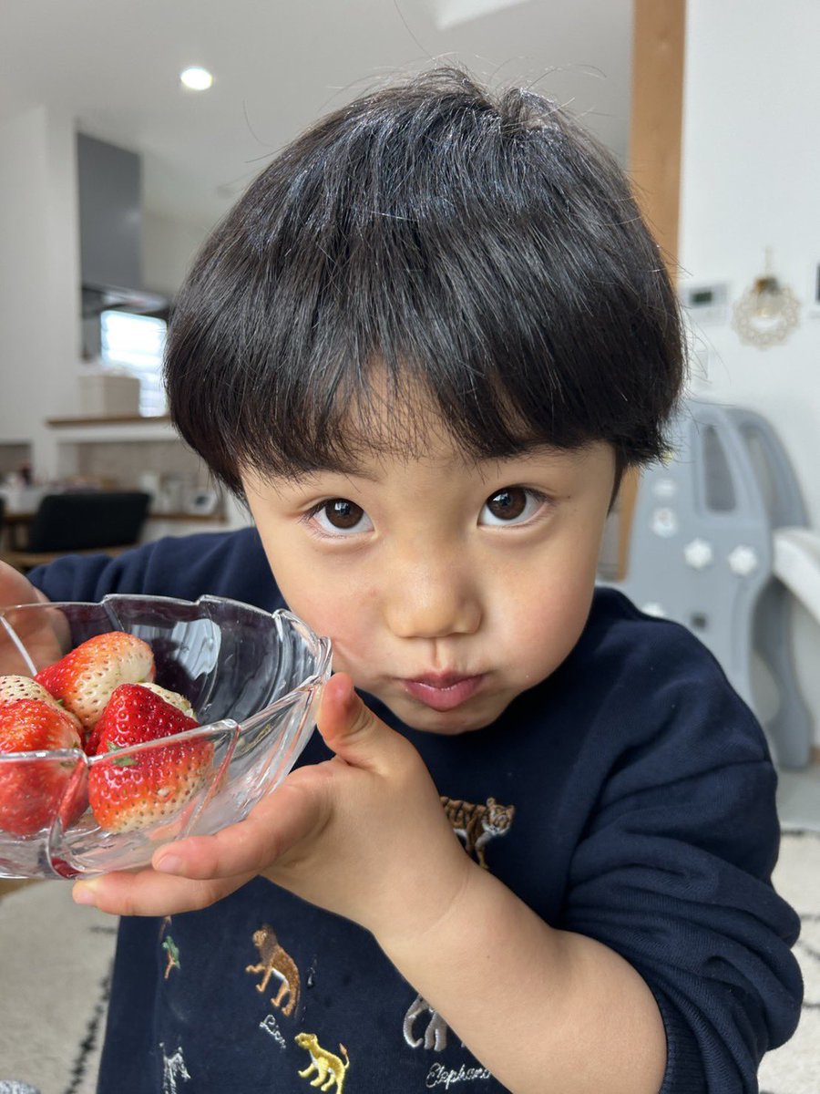 long__tai's tweet photo. 大好きないちごを前にちょける我が子
本当にビジュよくてかわいい☺️ https://t.co/HVdNncZQn3