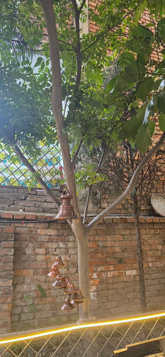 चुनाव त यता पो लागेछ ;)