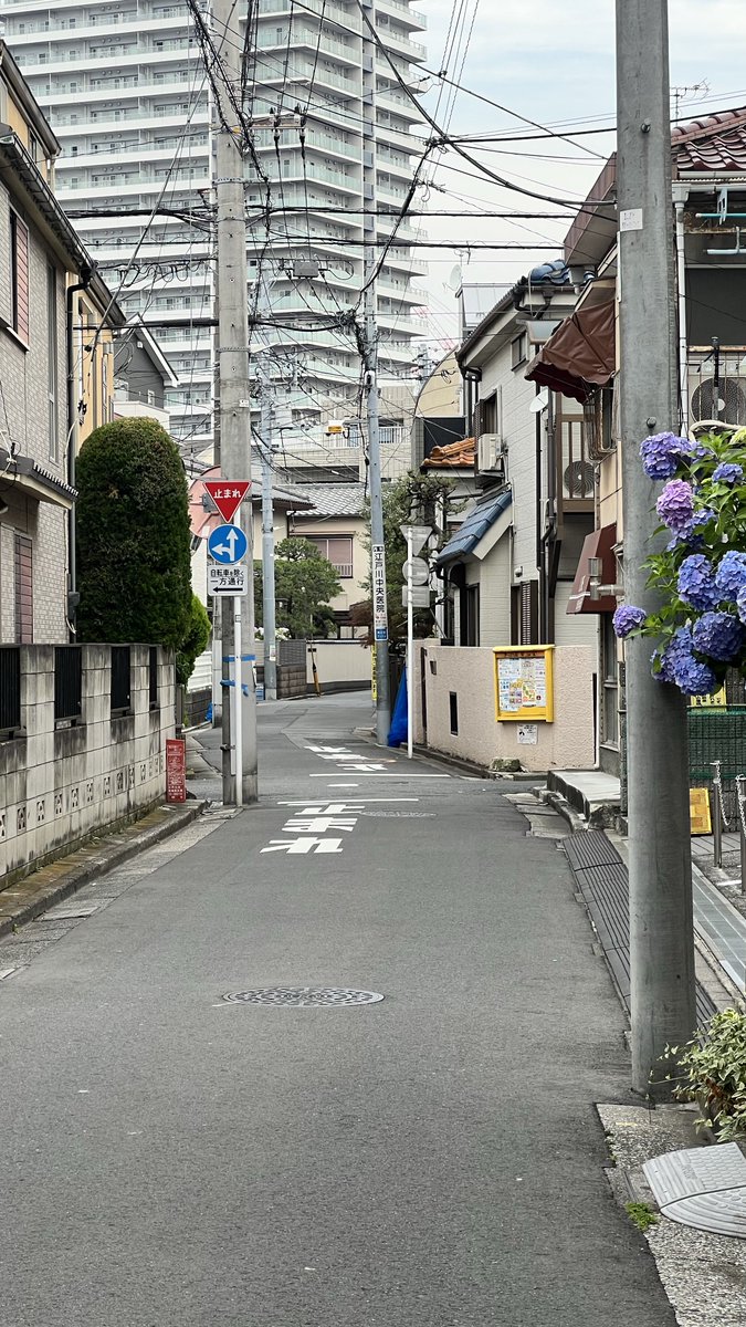 adjisdoaibu's tweet image. Ketika foto ngasal tapi lo di Jepang
(Juni tahun lalu)