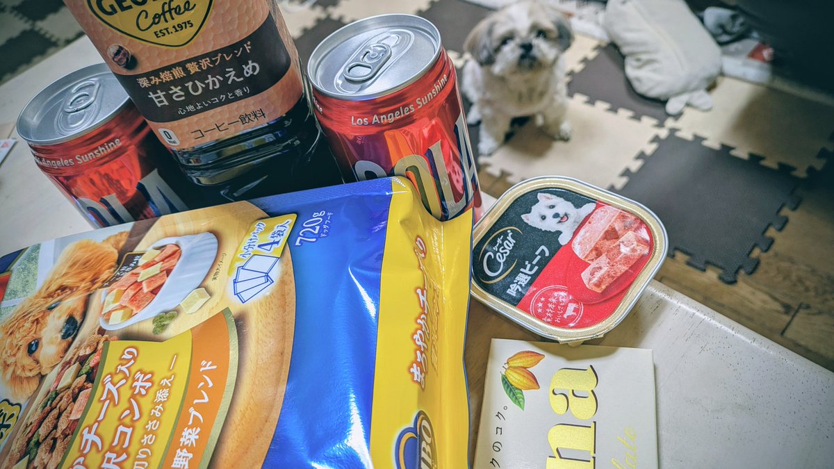 なんか仕事が忙しすぎて
わりとぐったり

ただいましたら
癒しの子いるから大丈夫

ちゃんと
ご飯かってきたよ

(ΦωΦ)餌しかみてねーよ
この子…