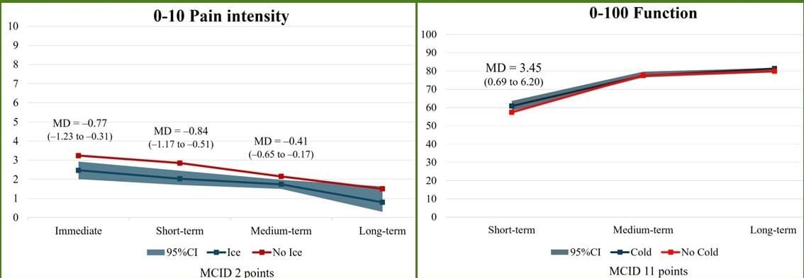 Physio Explored tweet media