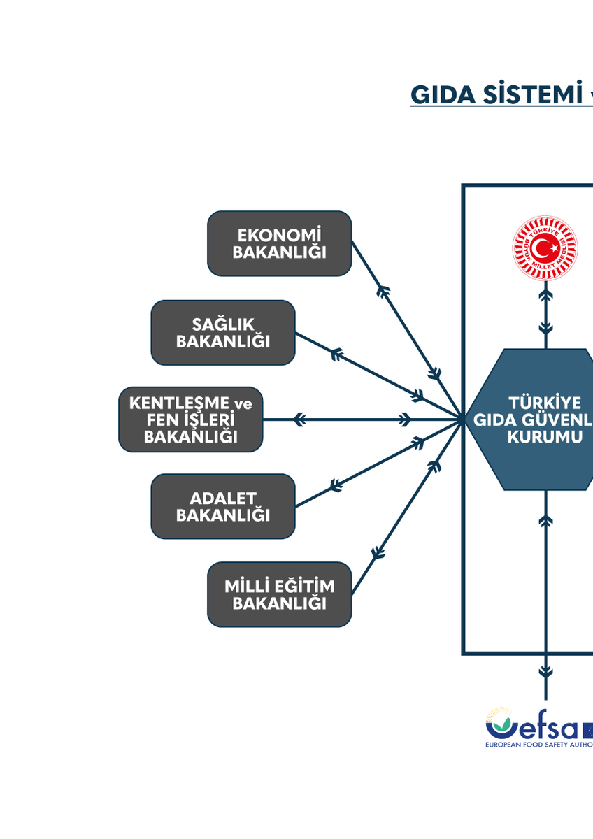 Mete Yolaş tweet media
